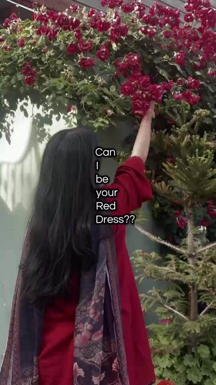@🎀.