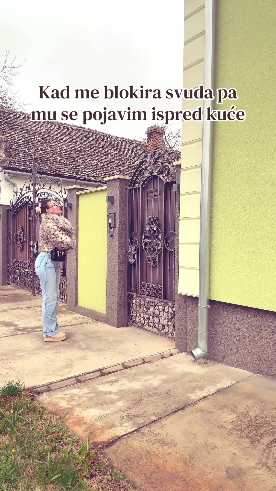 @vidić jellena