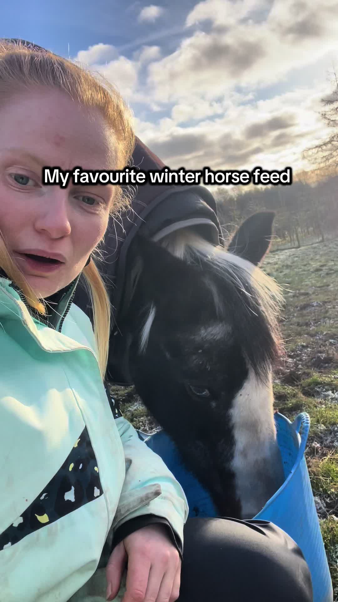 @Equine Nutrition With April