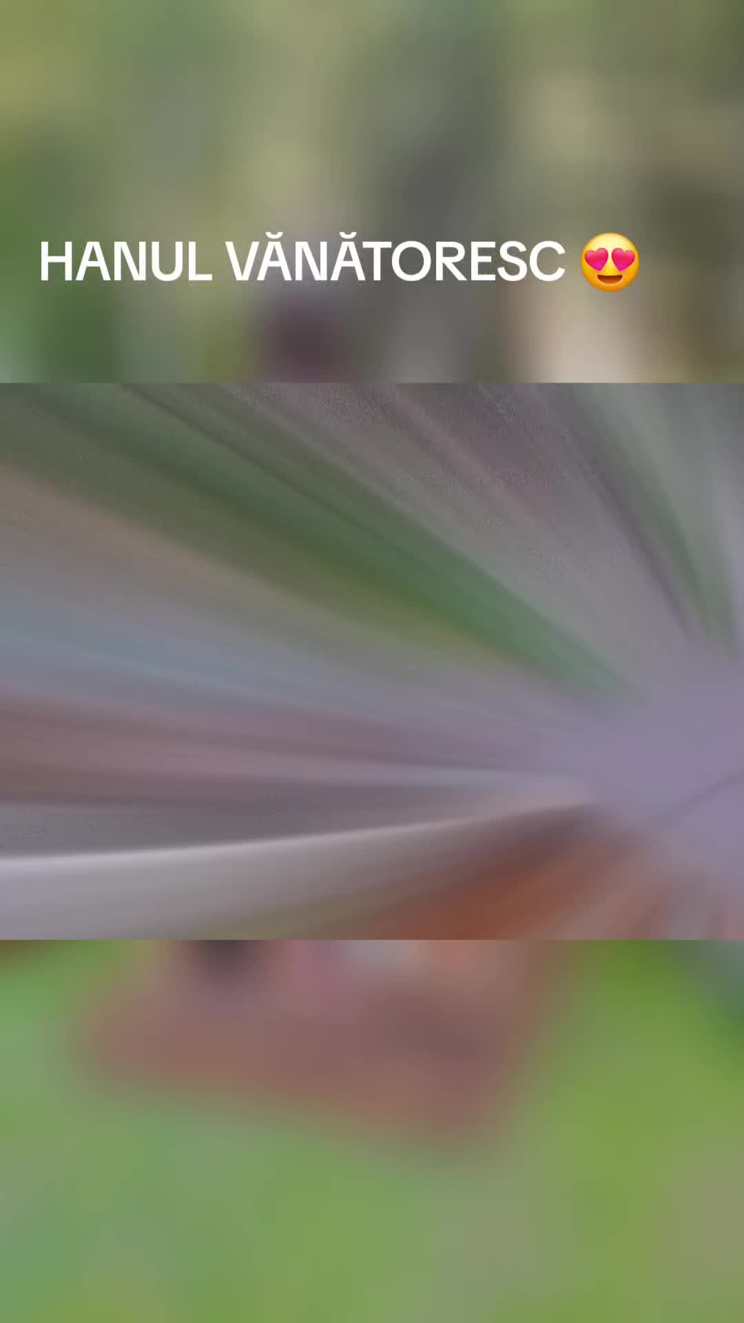 @Ela Frangu