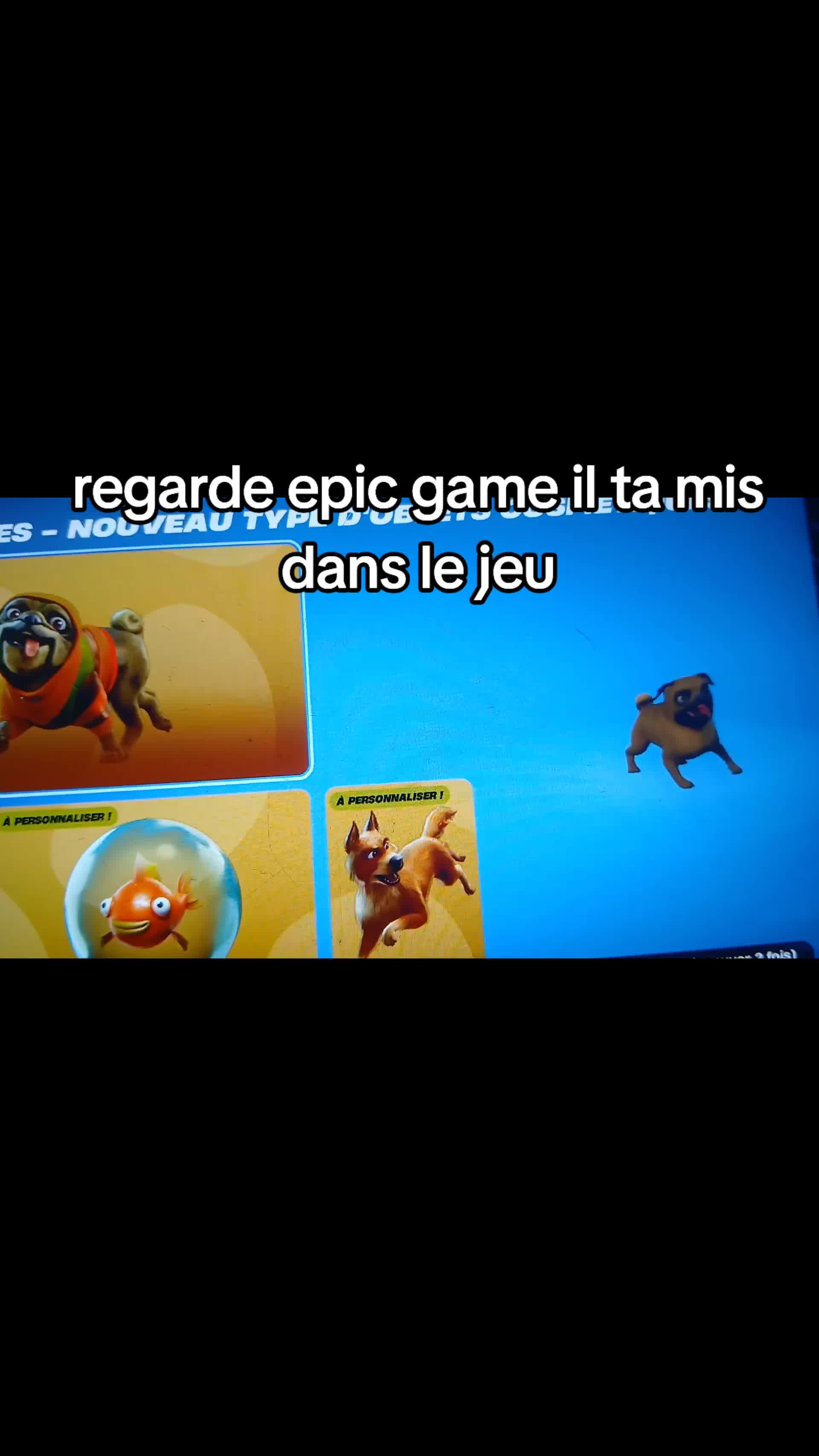 @dragoon