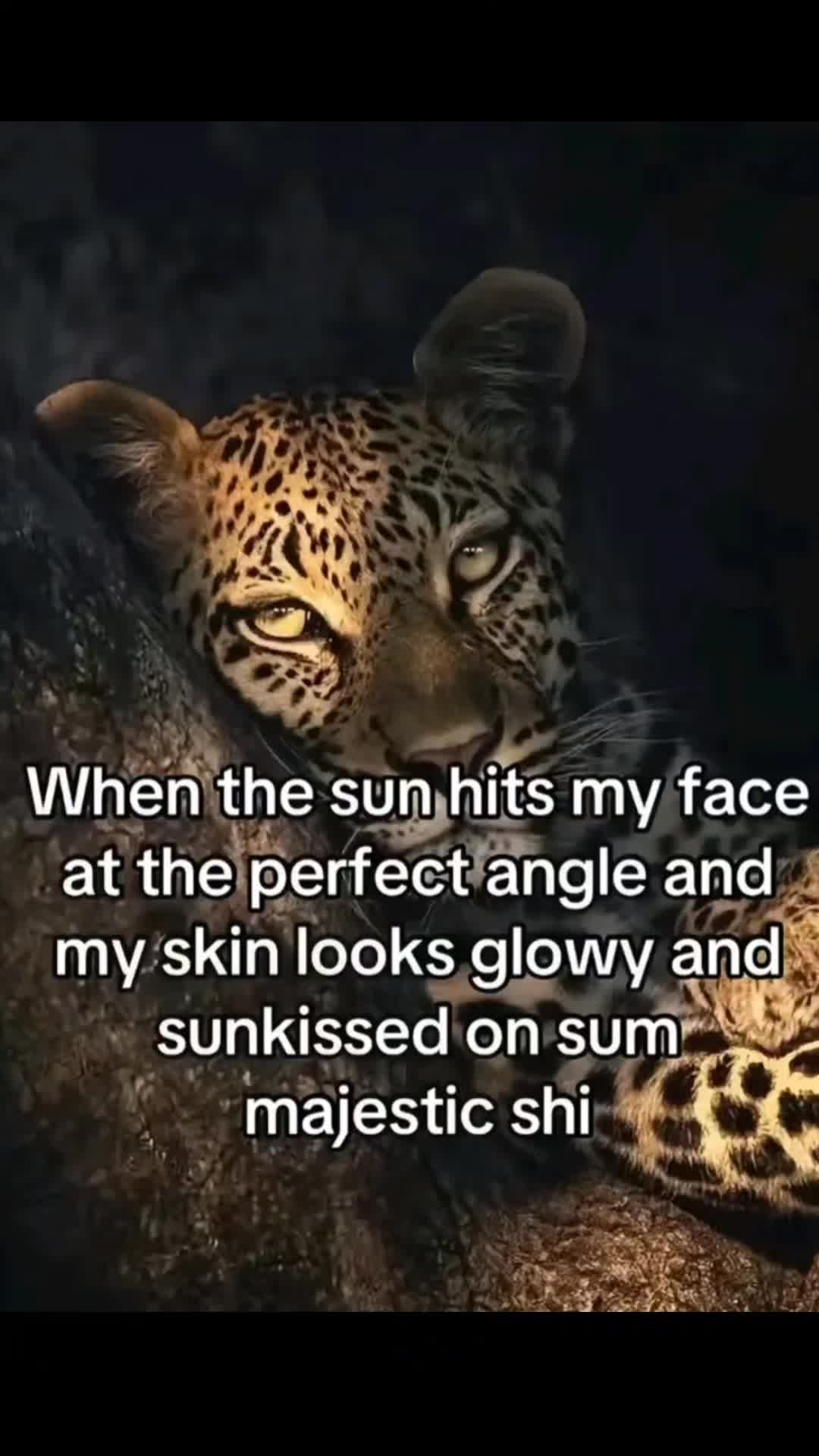 @𝓑𝓵𝓾𝓮💋