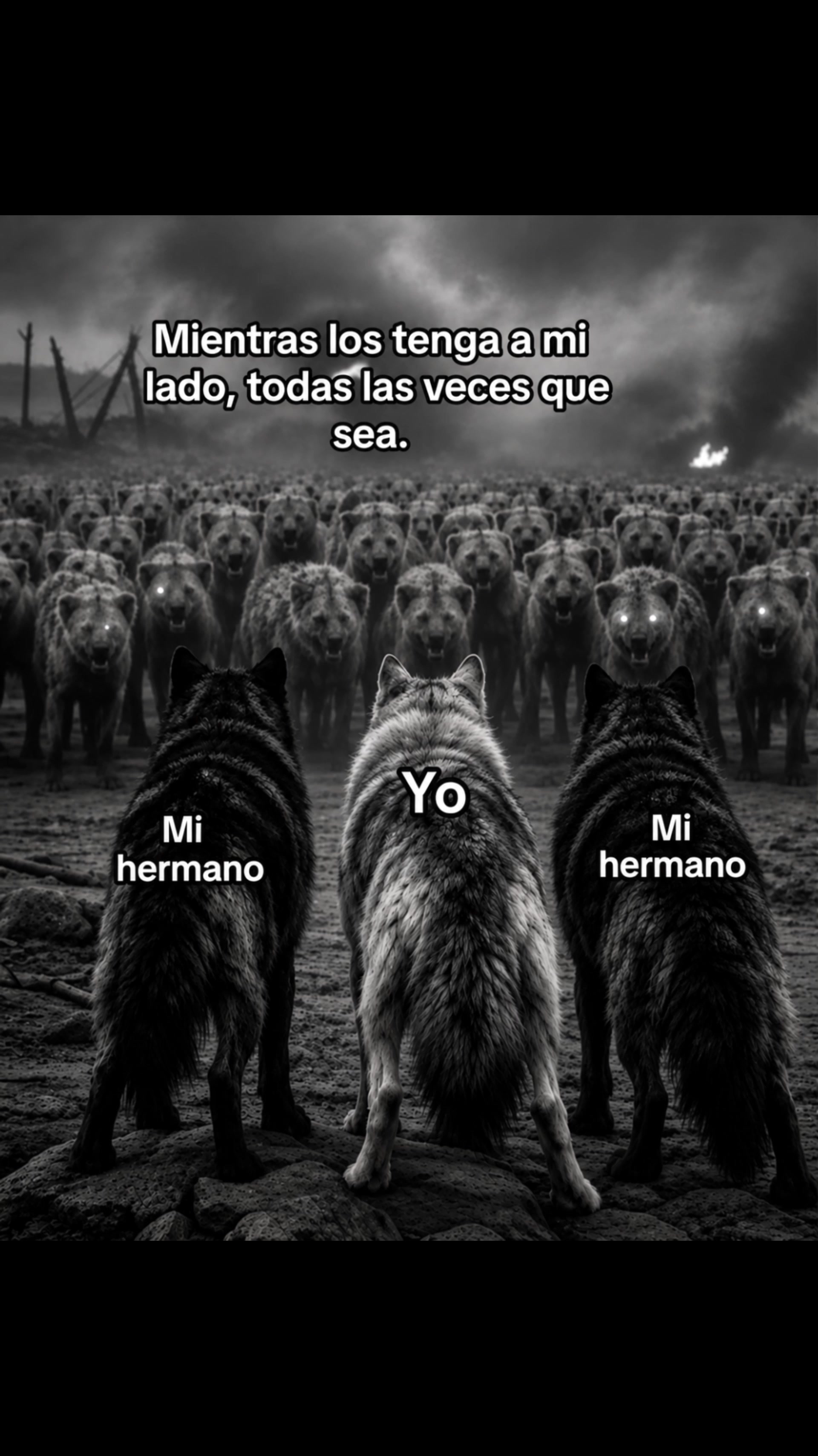 @Roel Cantu (Rolly)