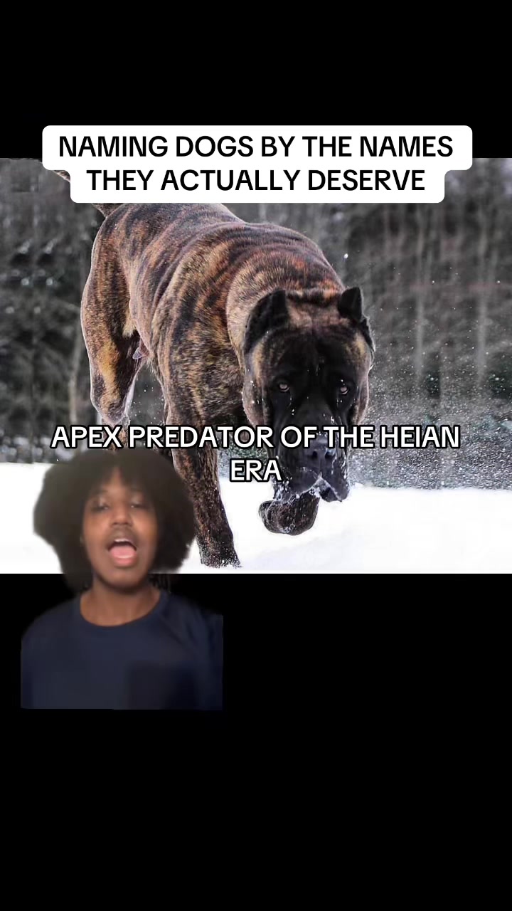 @Kingz