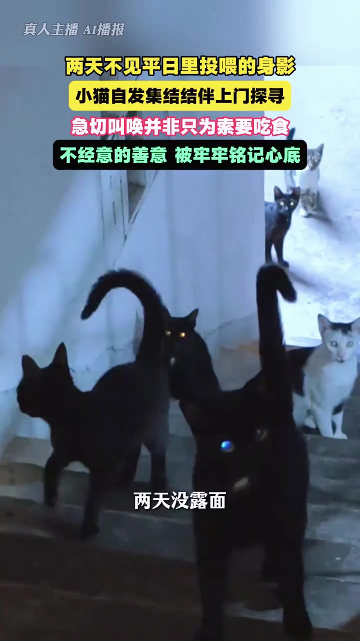 @林京一