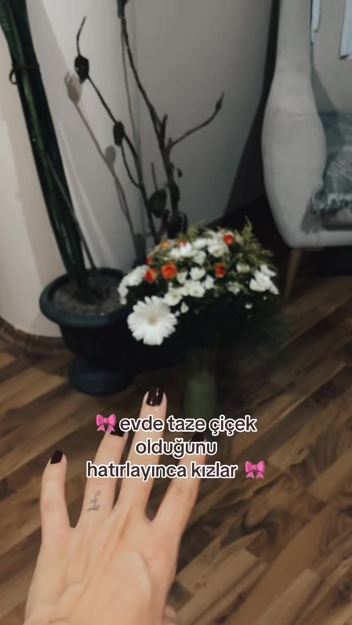 @vaveyla🥀