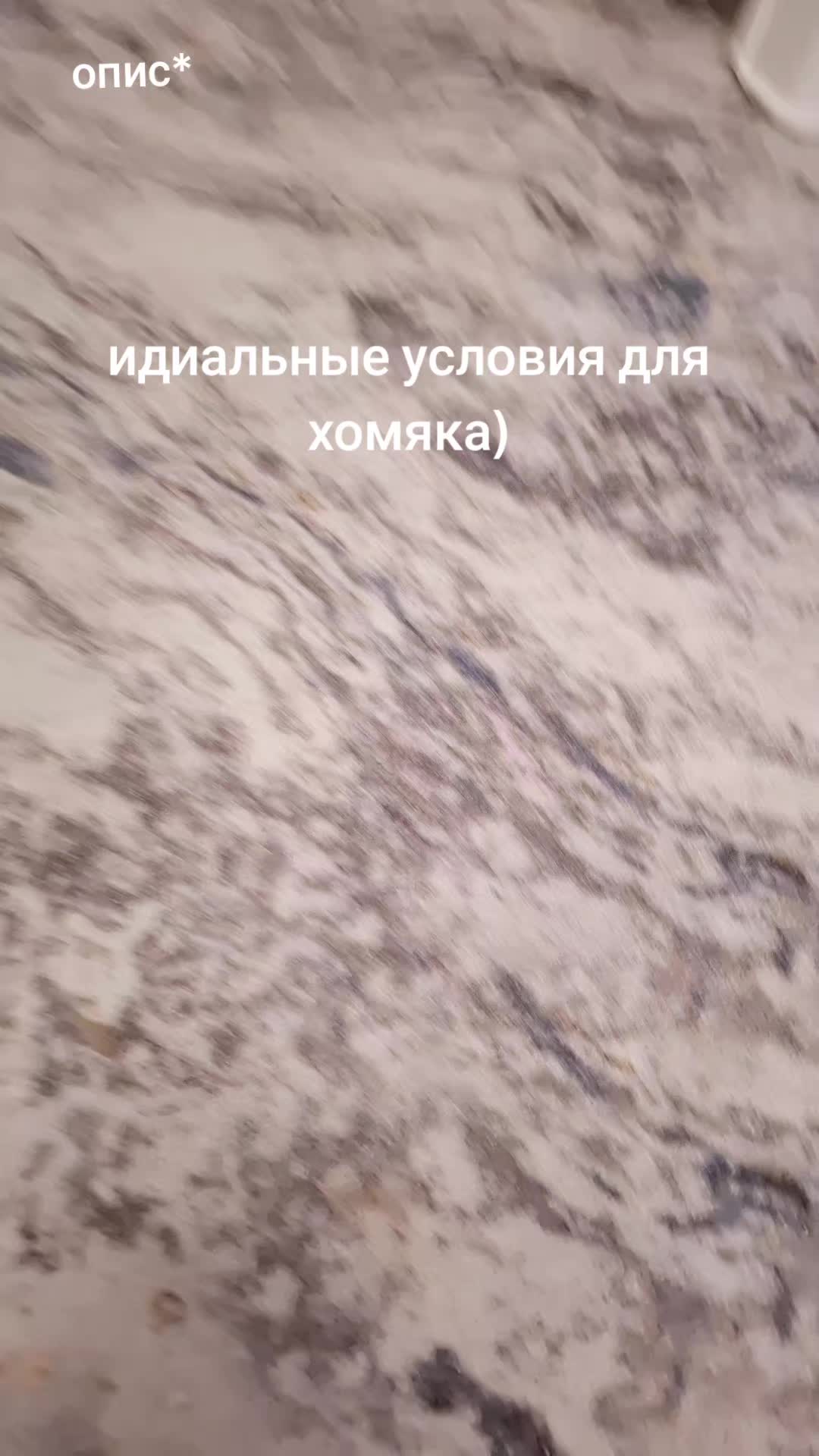 @хомяк | гыф гыф