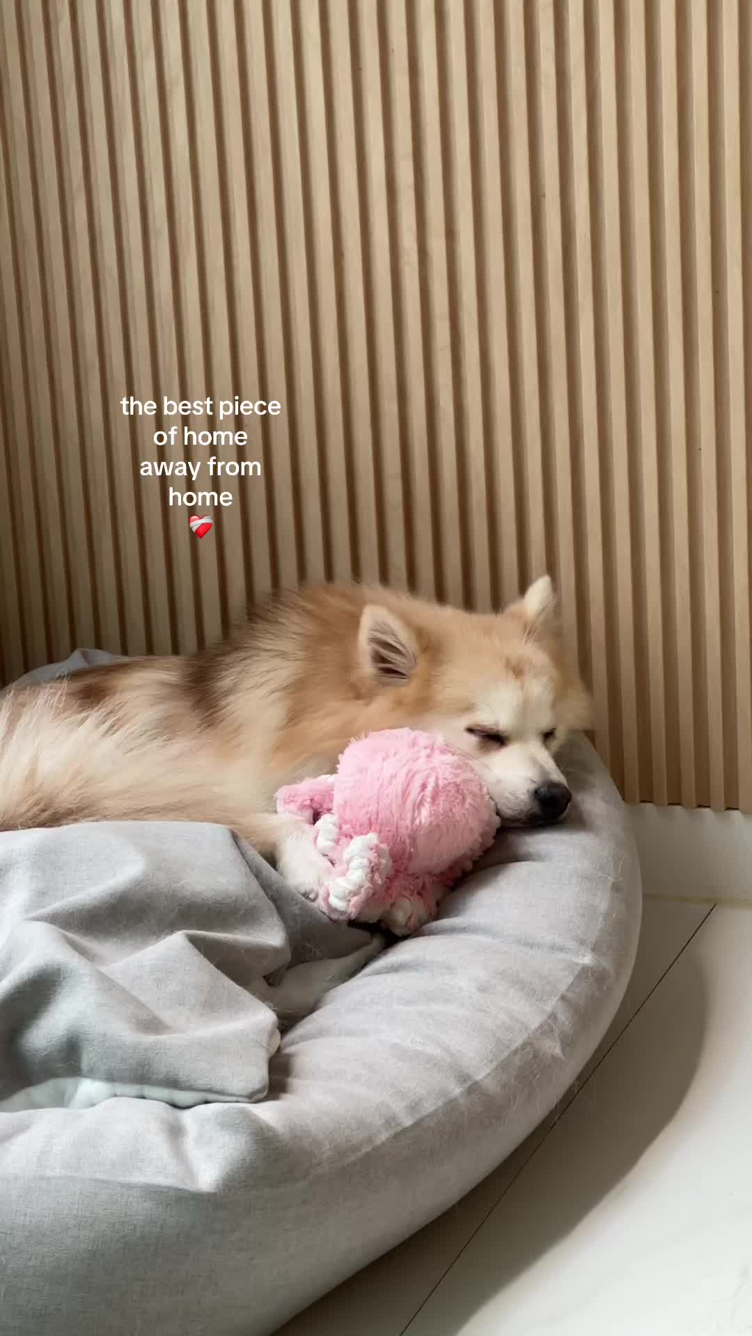 @Barbara