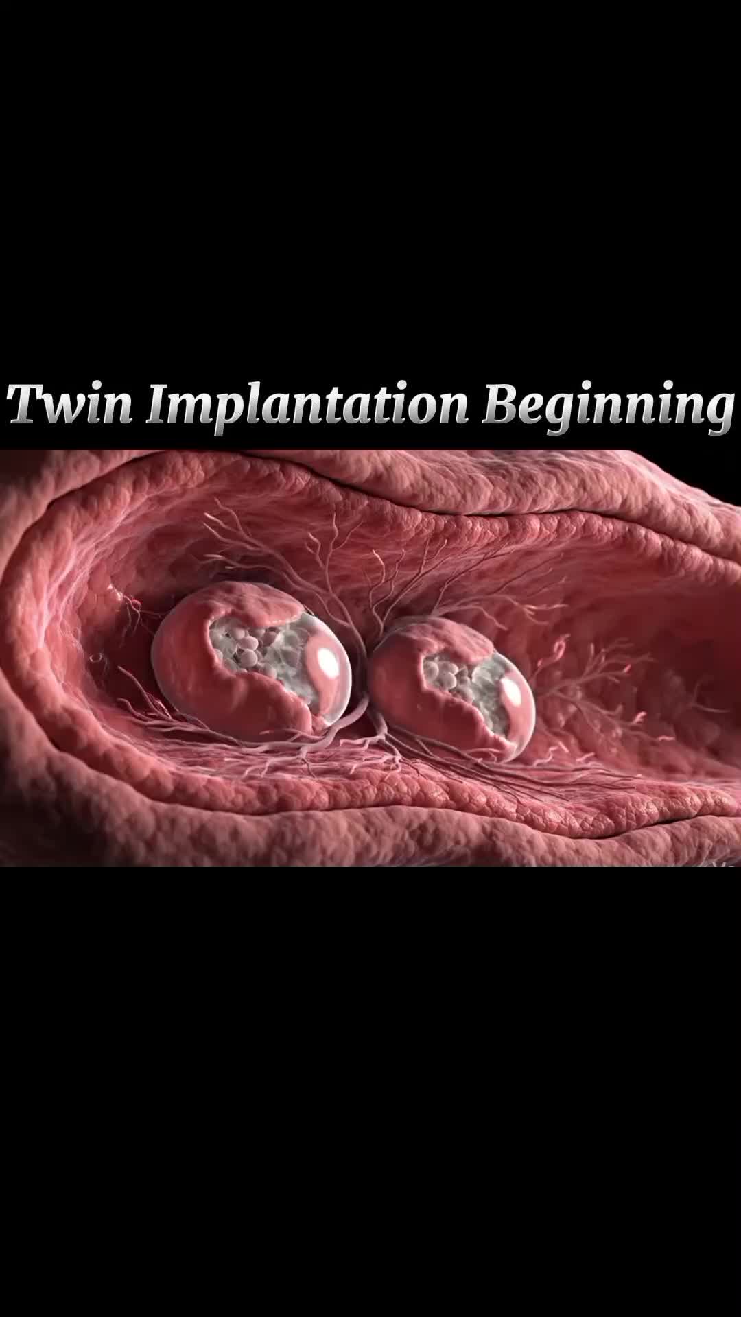 @Pregnancy Info