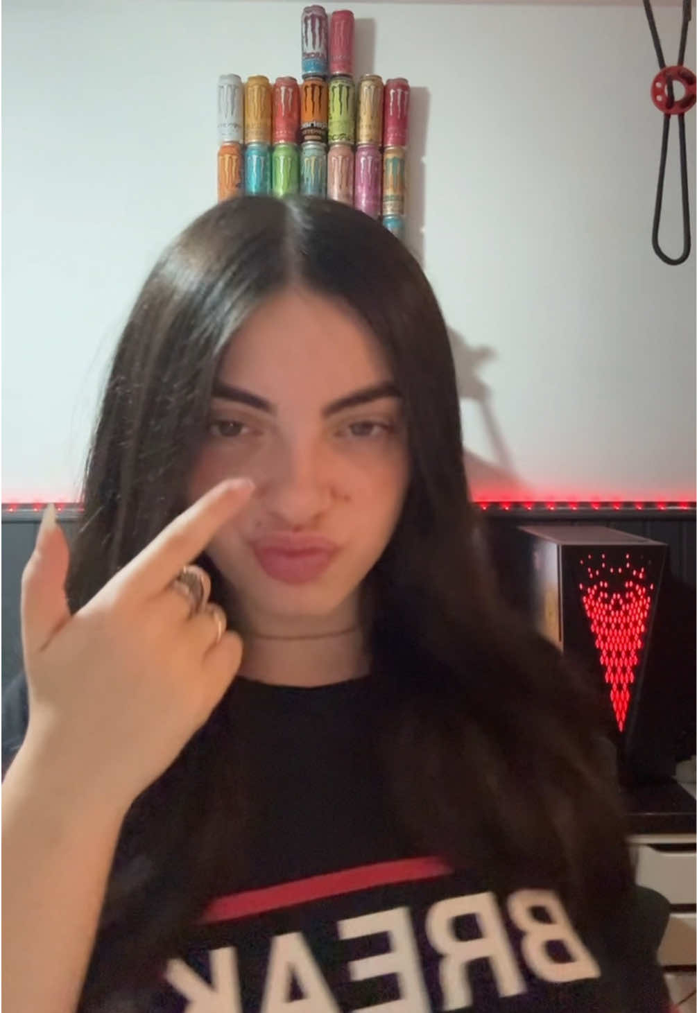 @danielaarosteguii