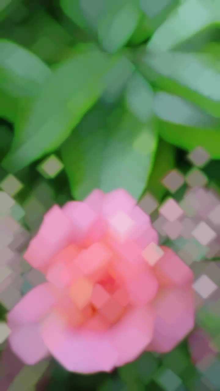 @بنت كردي