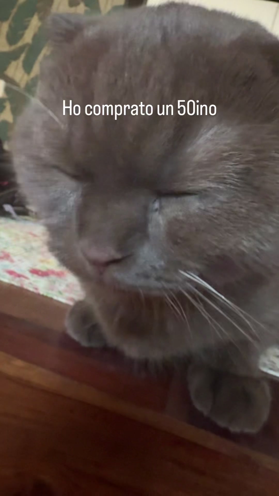 @qulobrando