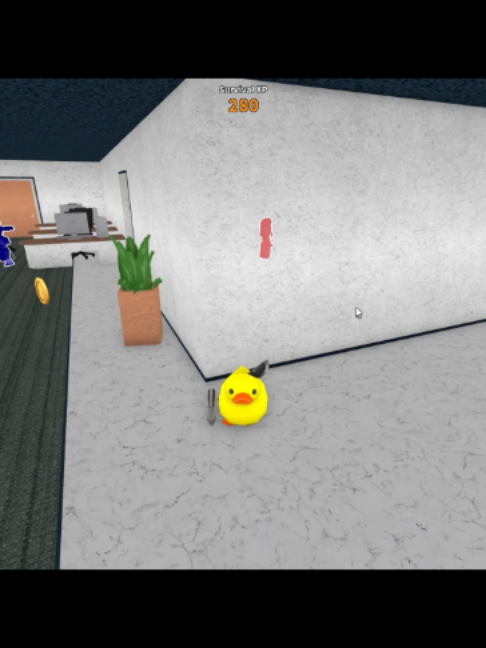 @Duckyswager