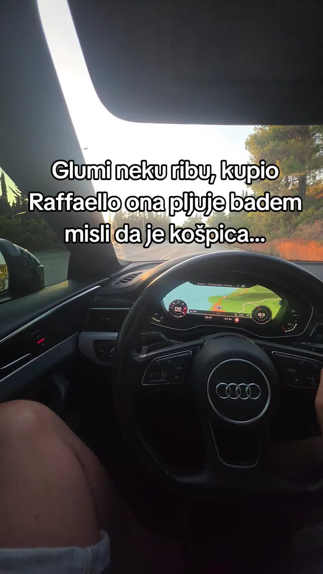 @ristic_n