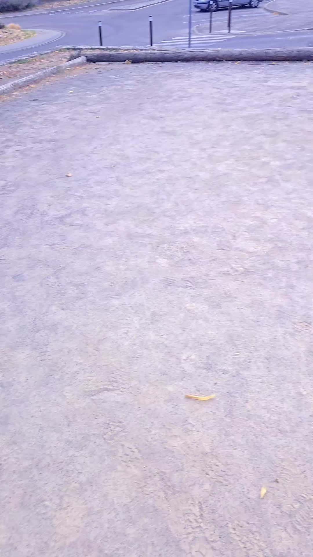 @Bashabroad