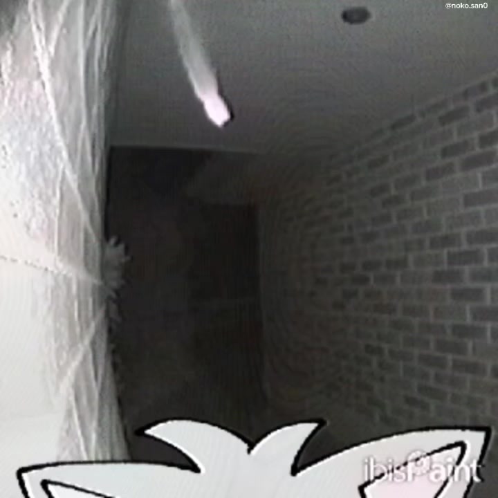 @๐๐ธ๐ด๐ธ .๐ฒ๐ฆ