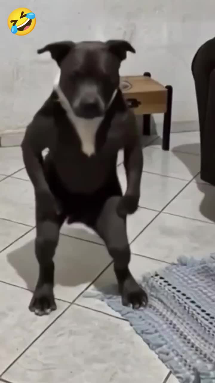 @💥video mània*