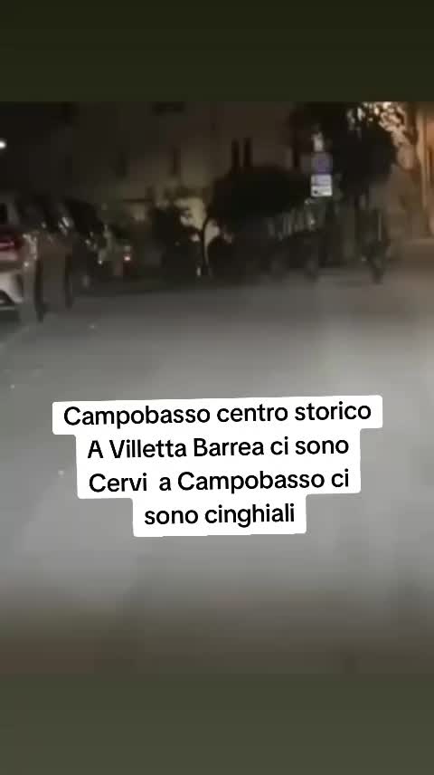 @Silvano Mazzocco