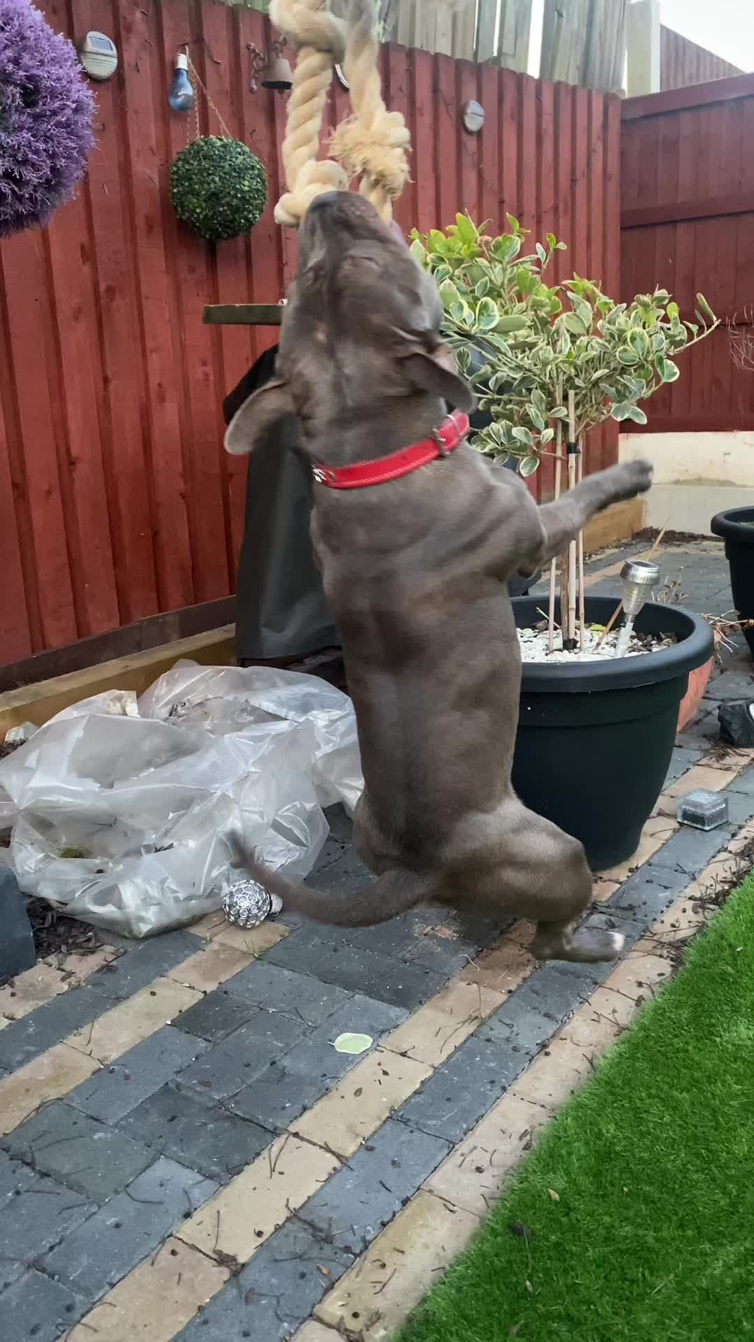 @jaegerstaffy