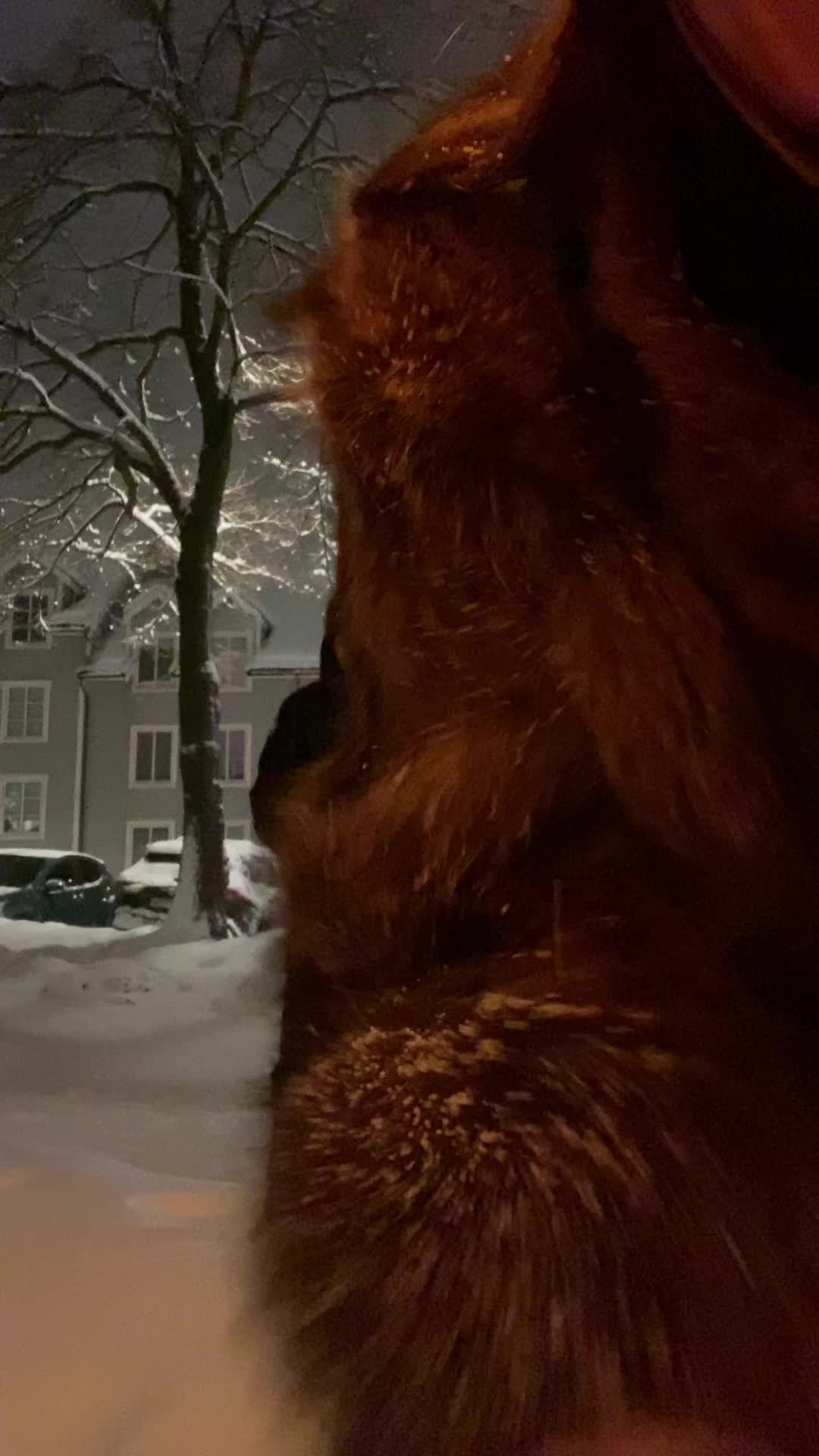 @Lpz. Emma
