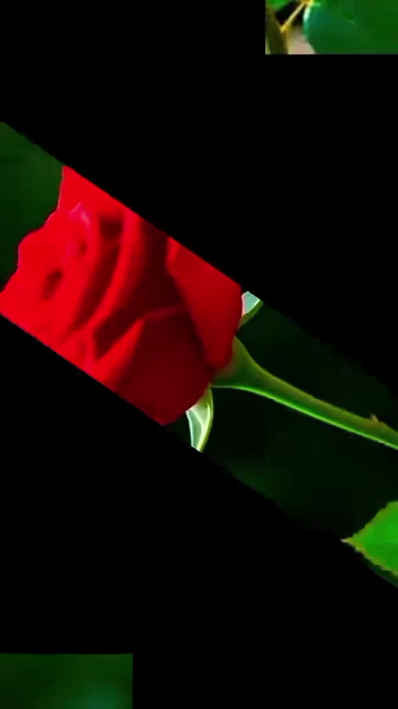 @user80397667043