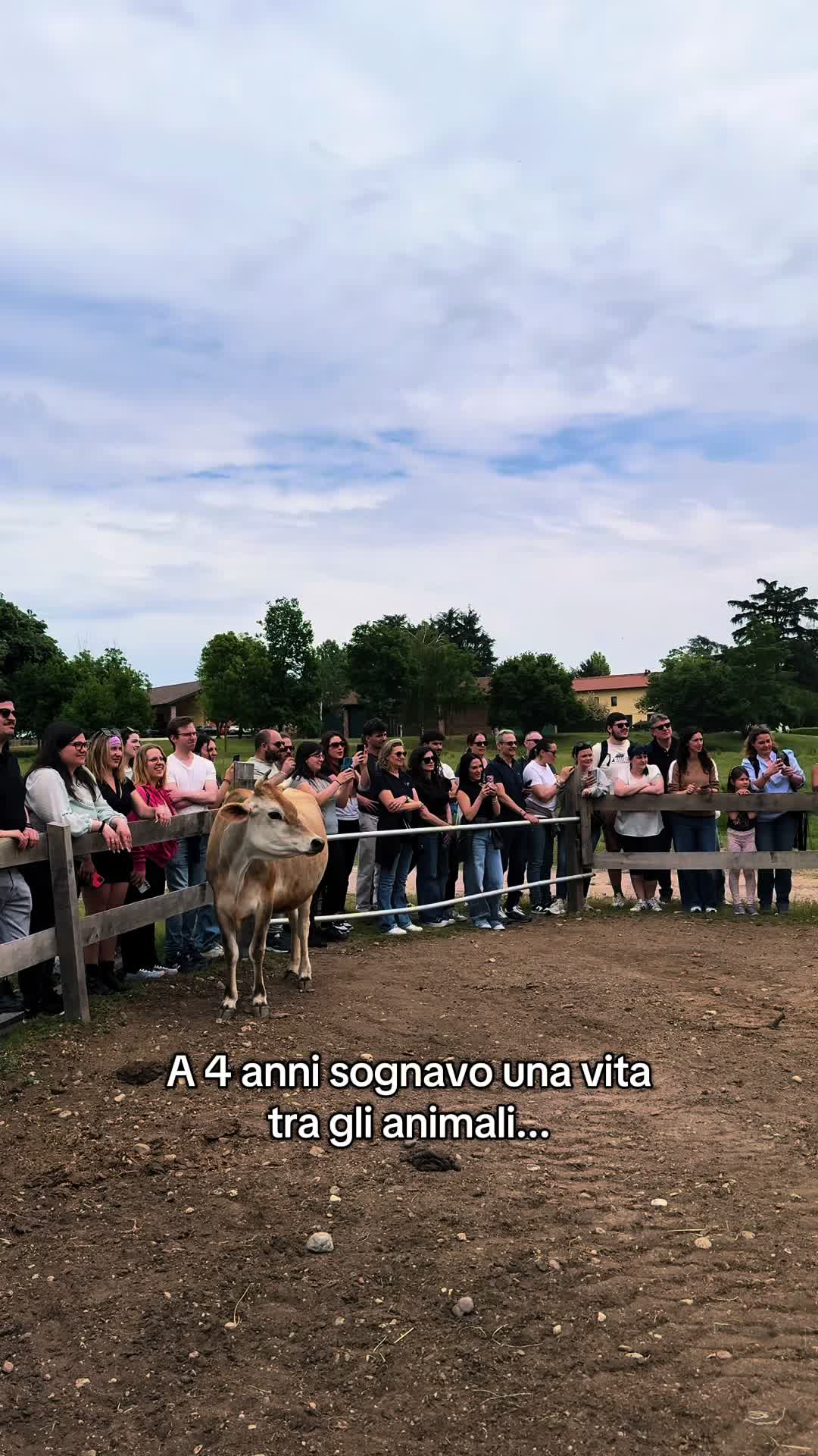 @Diario a Quattro Zampe
