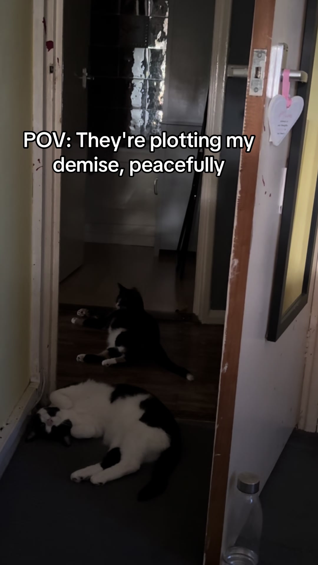 @Paigeyy