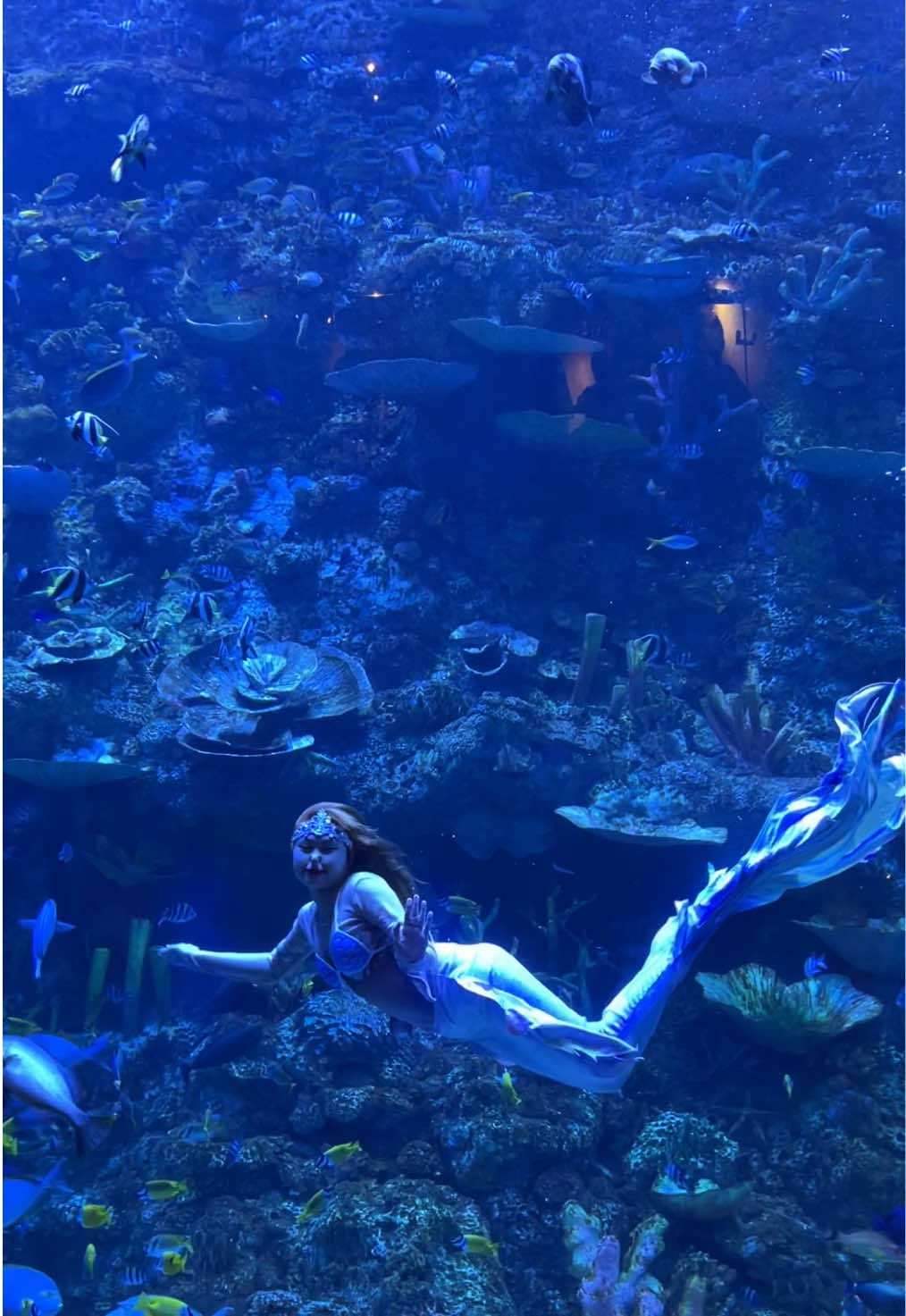 @Mermaid Cryztal