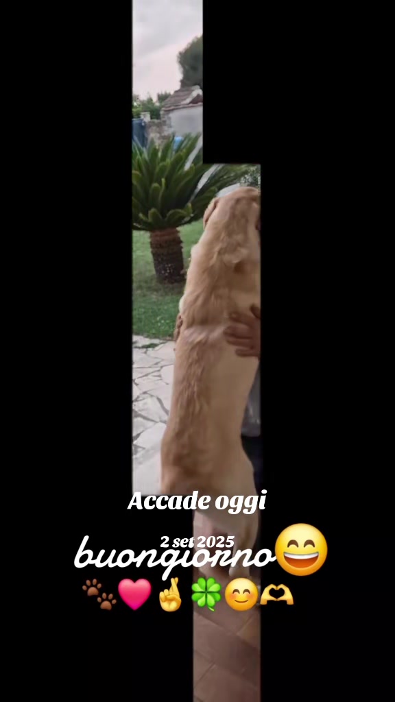 @Ciro Marley1625