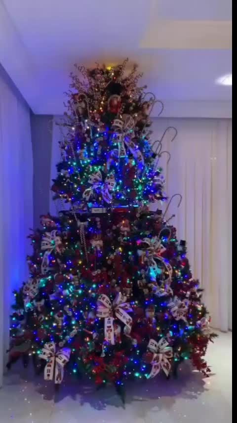 @Christmas 2026🎄🎅🏻☃️❄️✨⭐️