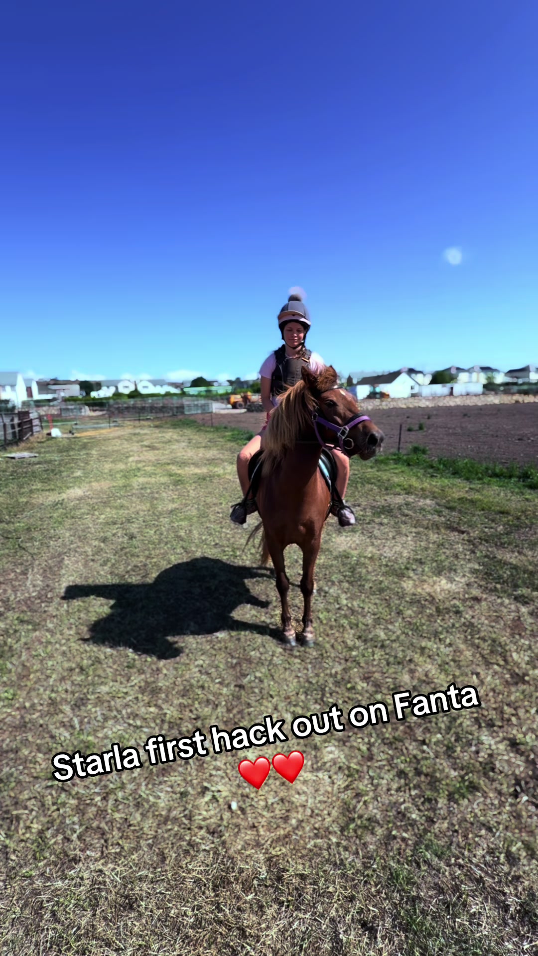 @horsetiktoc