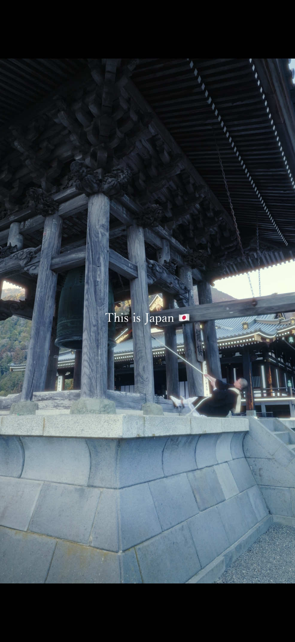 @koza | Beautiful Japan🇯🇵