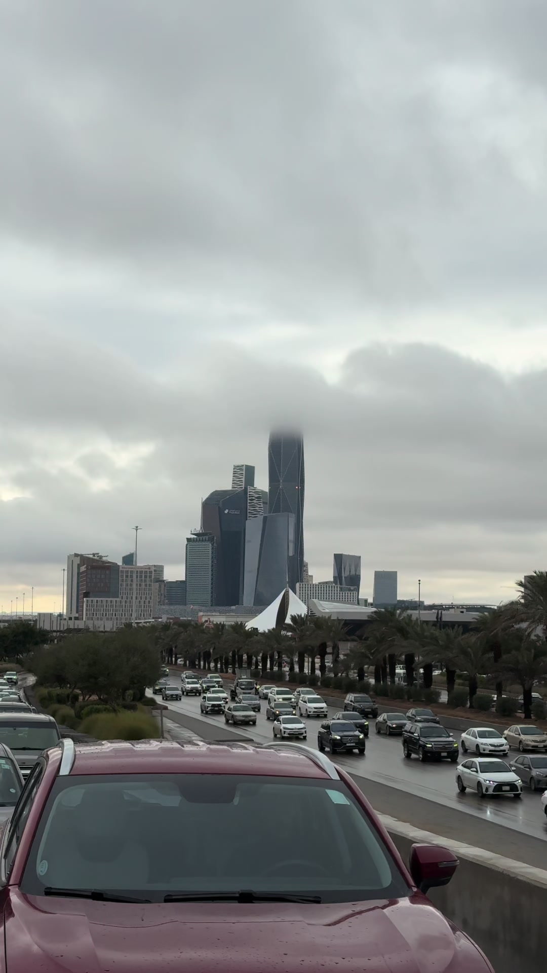 @Y 𝚂 F  🇸🇦