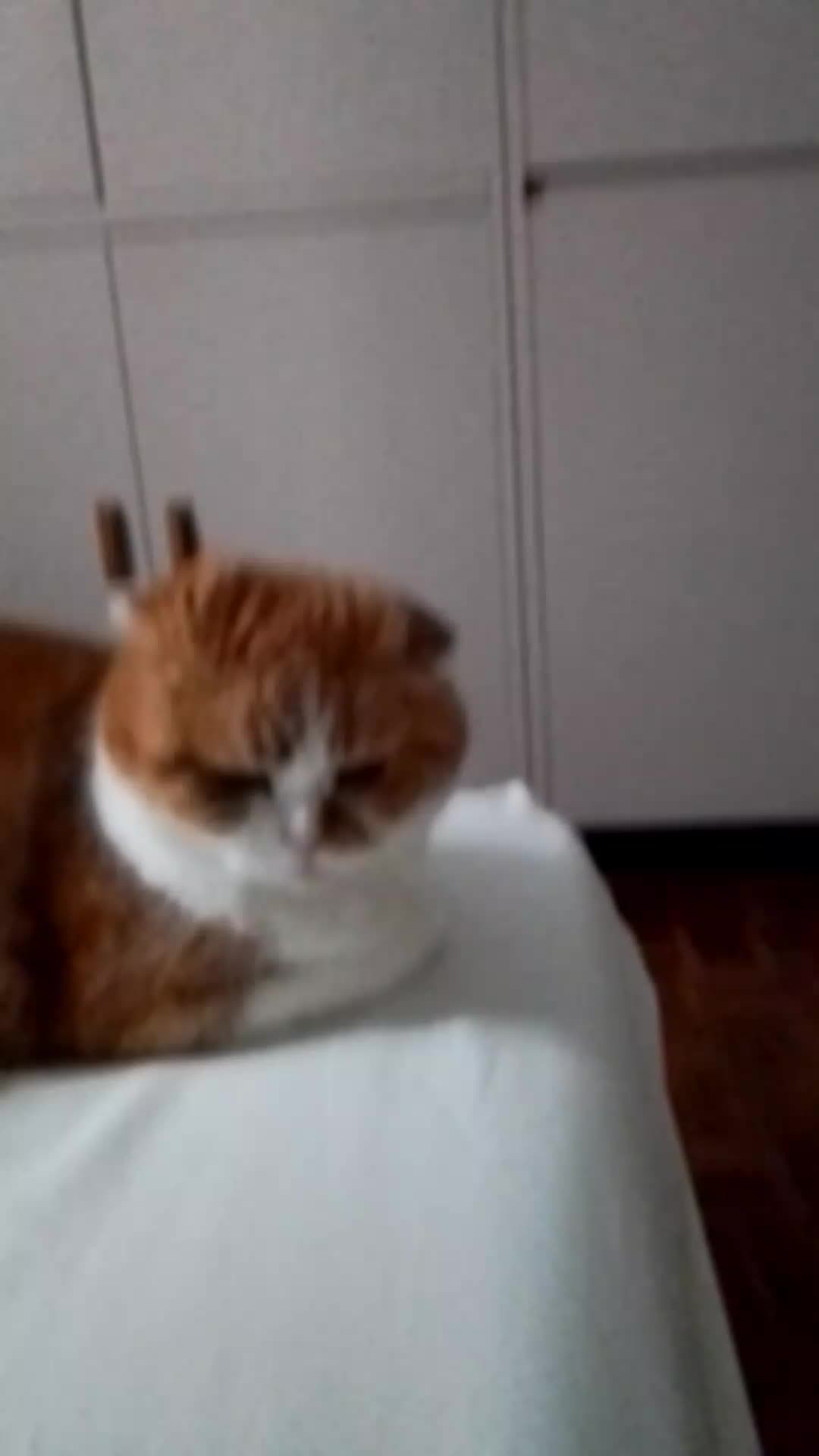 @Anneke & Simba