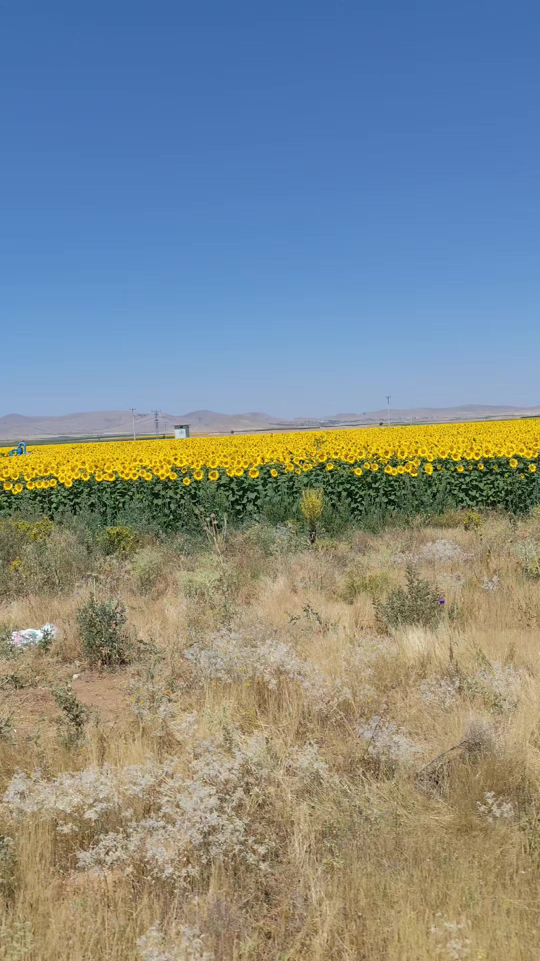@hüseyin culpan