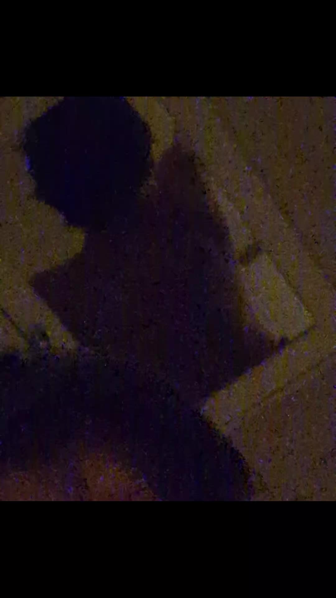 @ghostez32