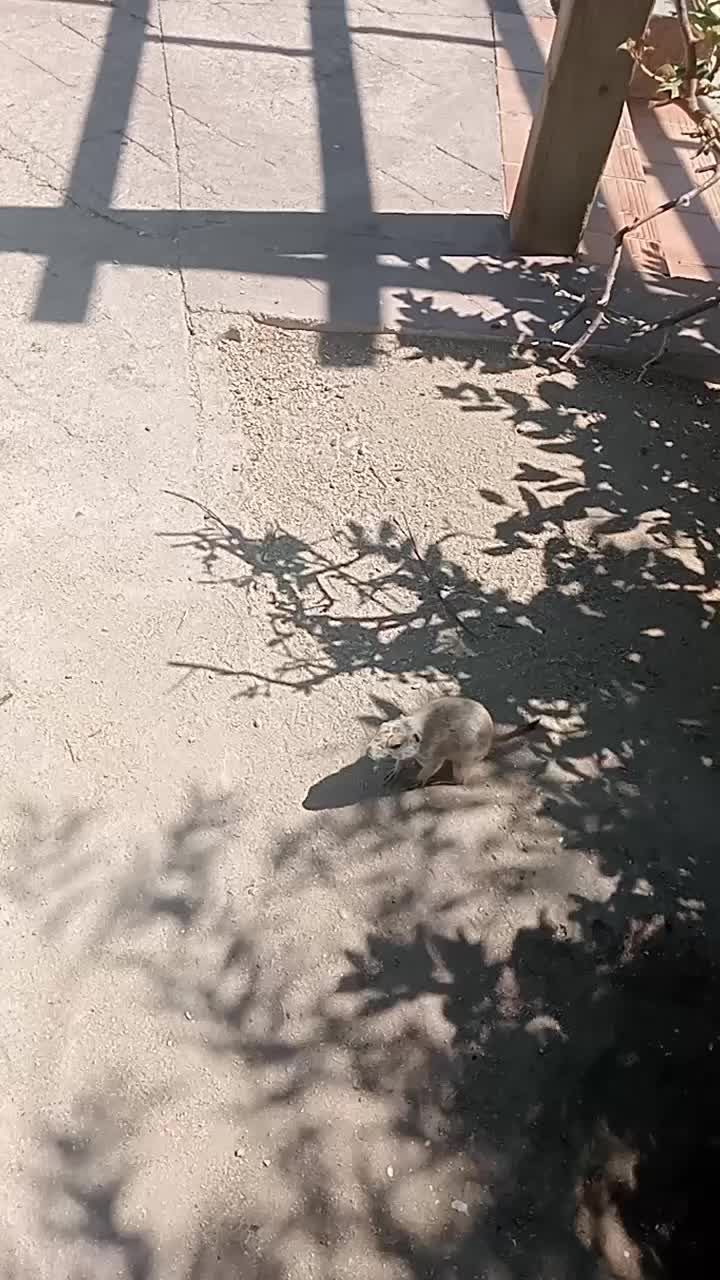 @Raúl...
