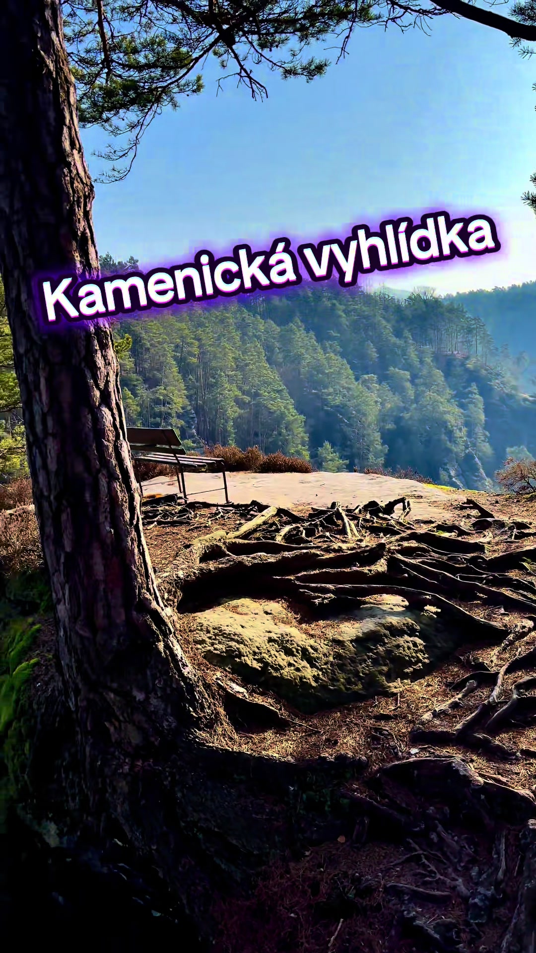 @Tlustej_plešoun