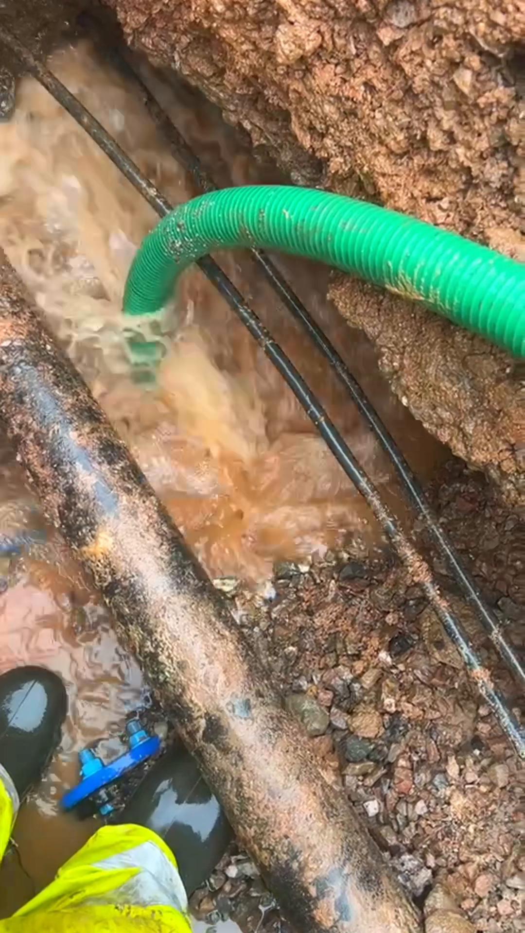 @SquiddlyAndCo