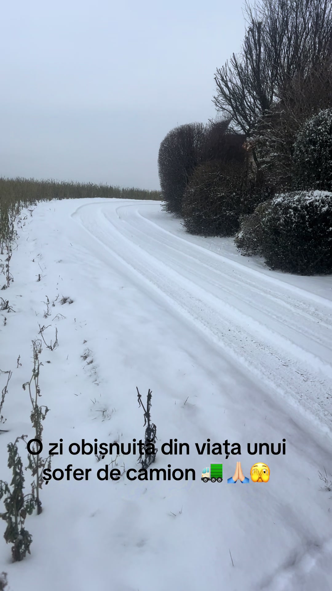 @Oanna Bobo