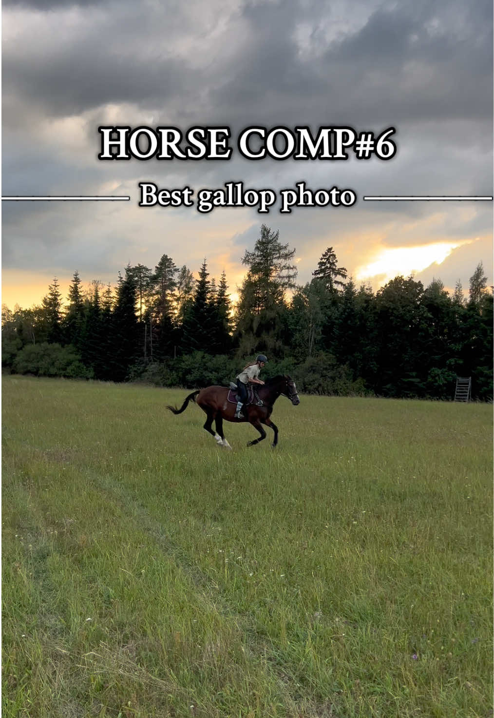 @equestrian._comps