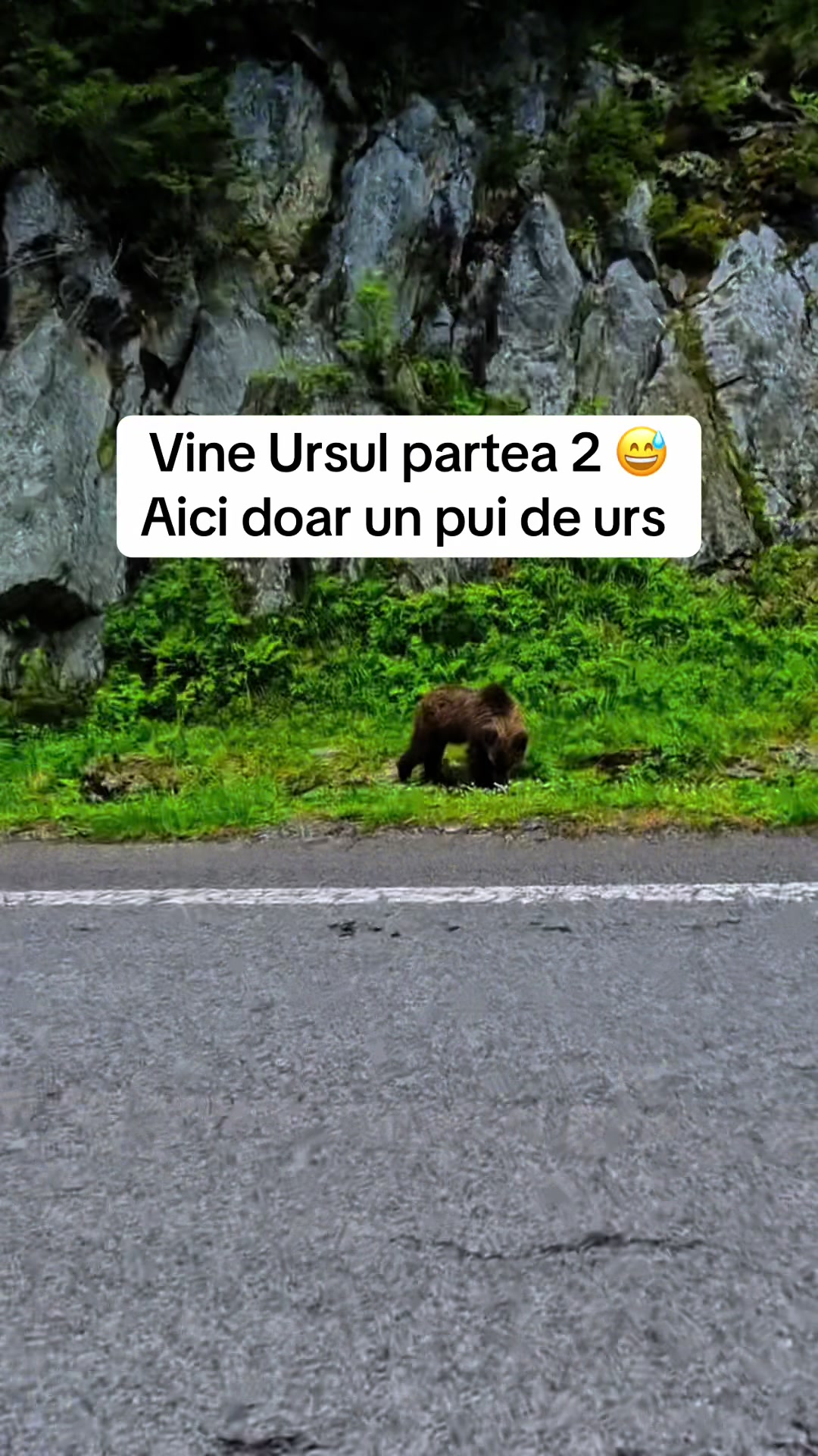 @AlexR2