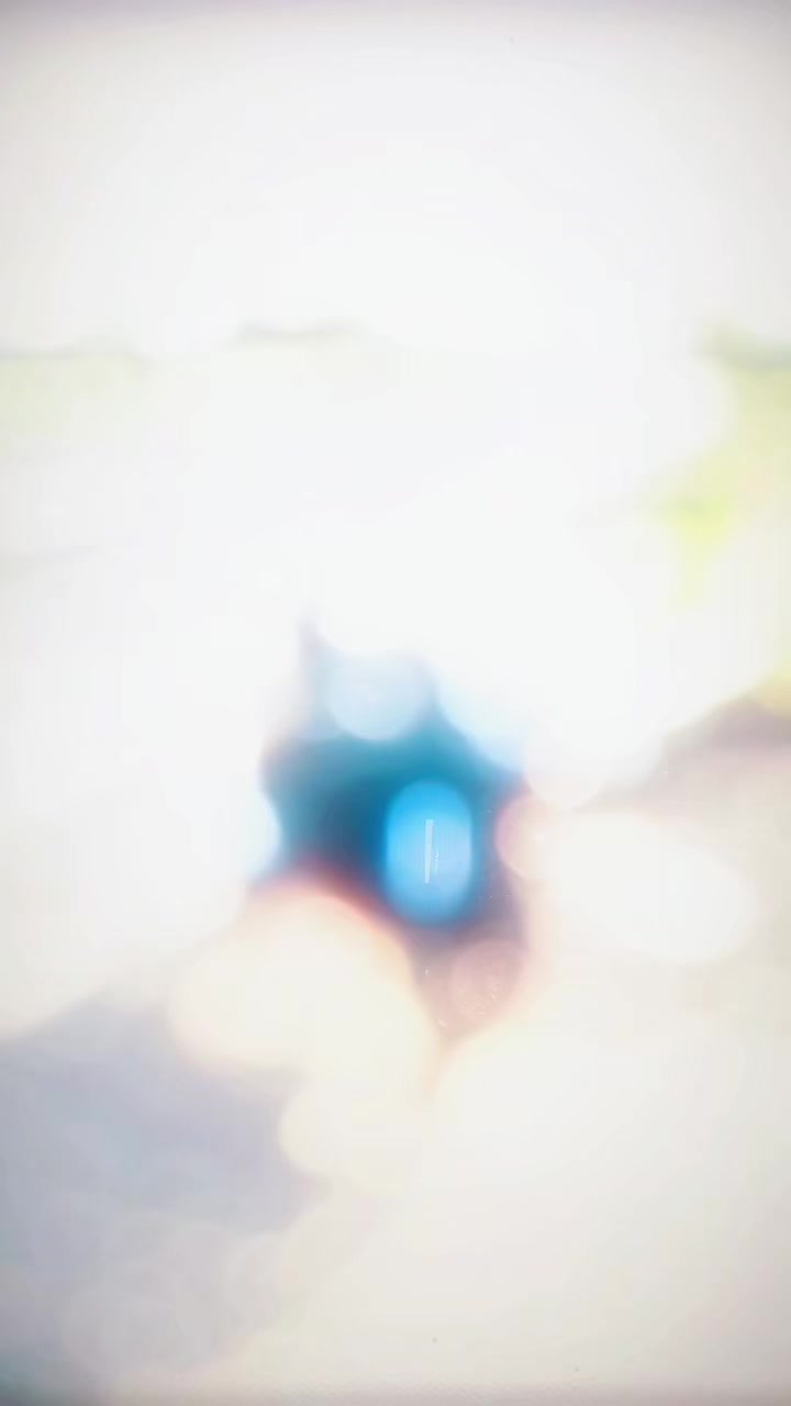 @She1kh S14M 🛸