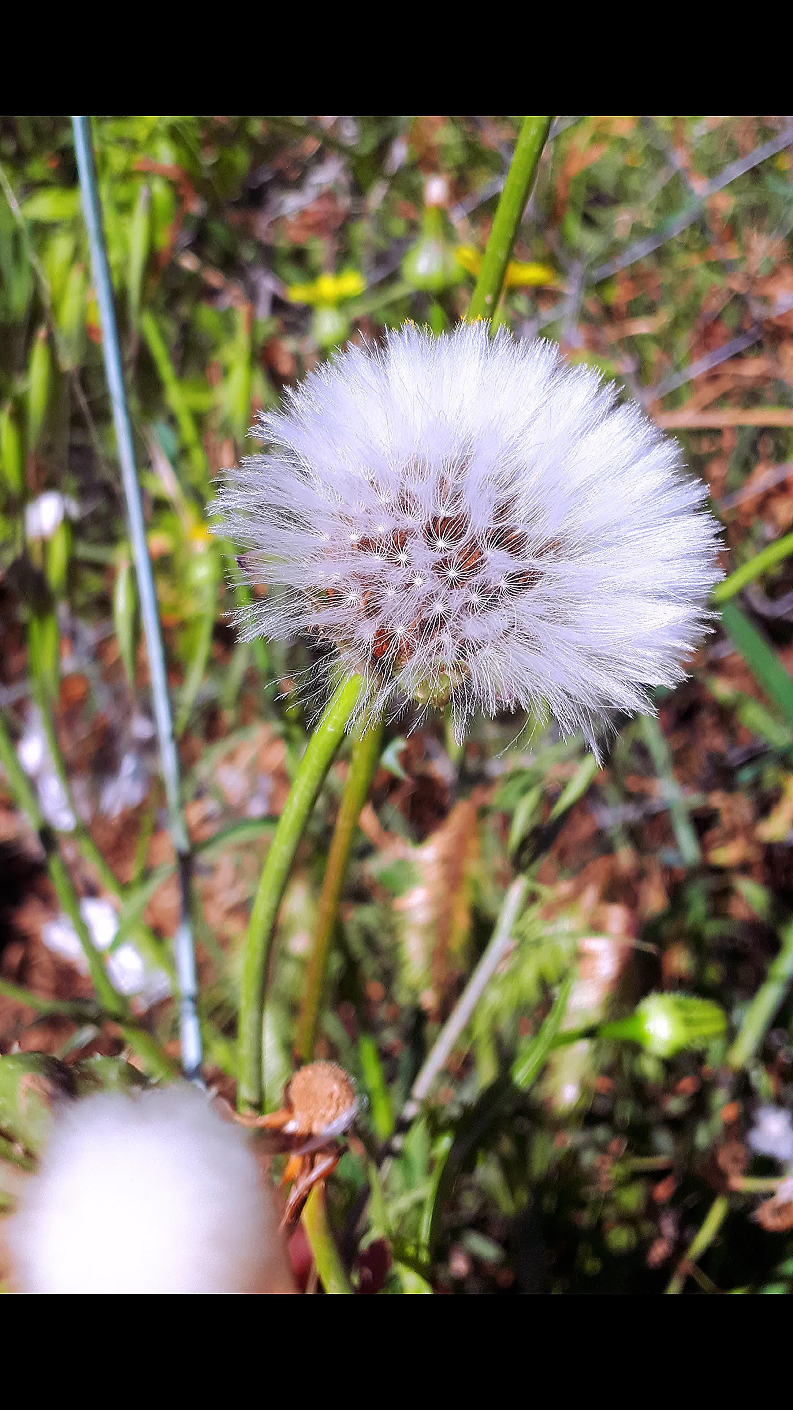 @°🫧•Soul🎐🍃•○°🧸