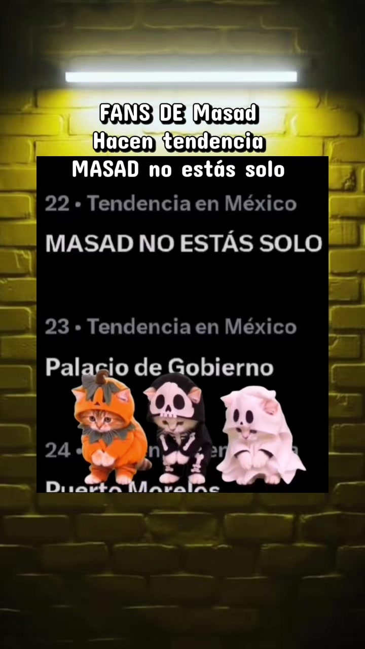 @Minaespia🔎