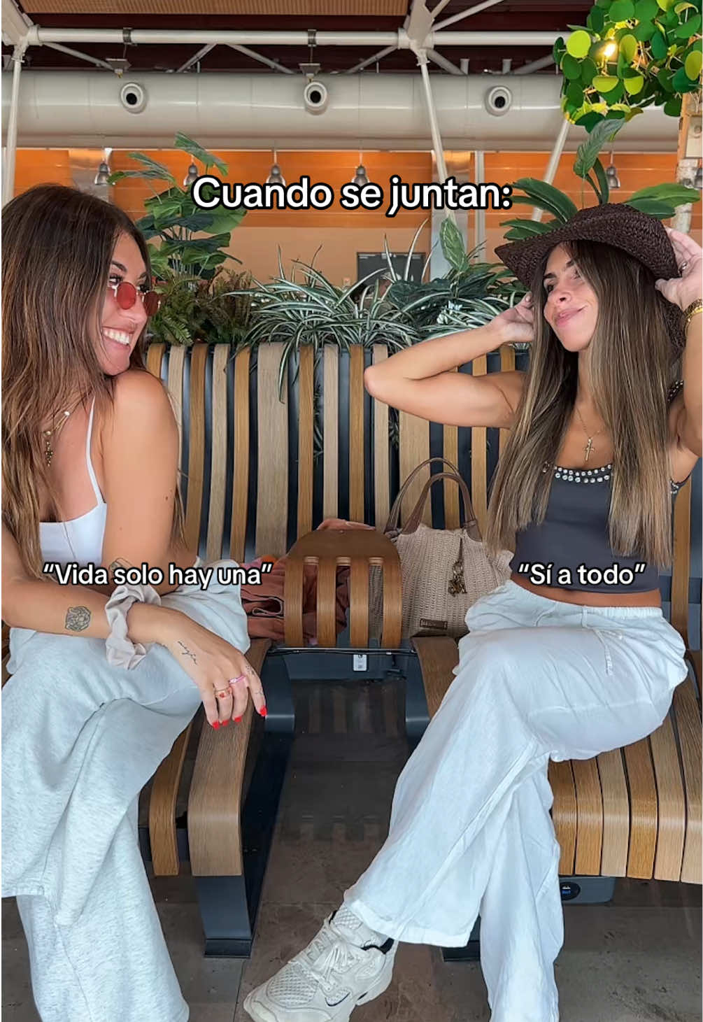 @normalobo
