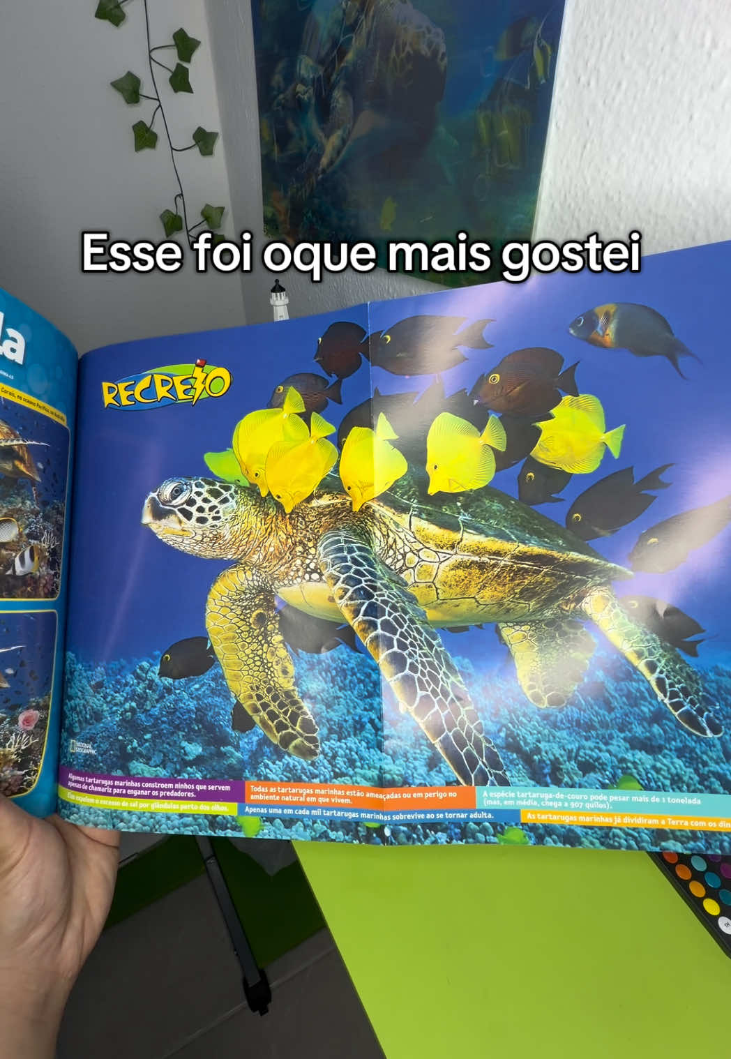 @Vitor Raphael