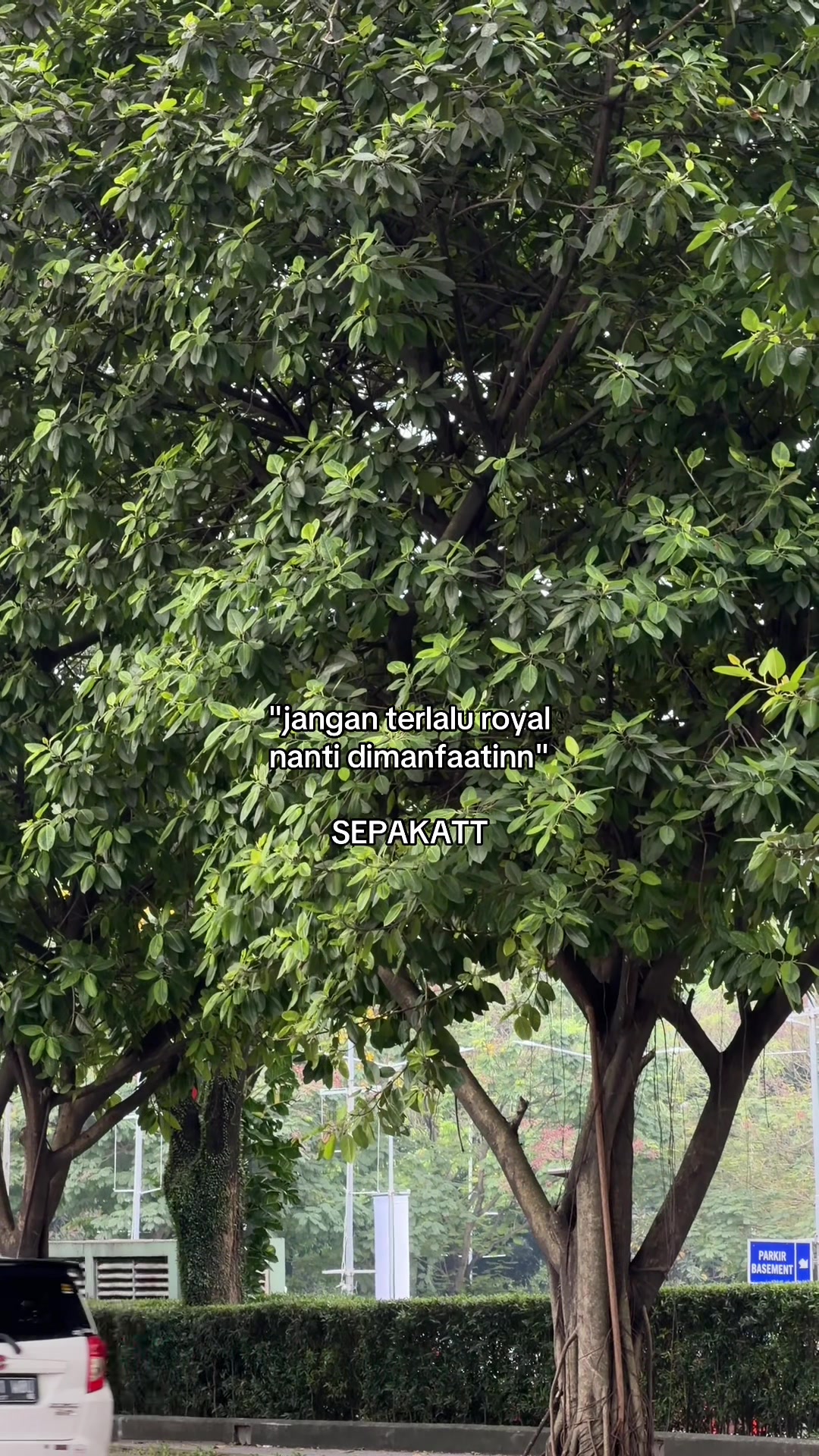 @limamaret.