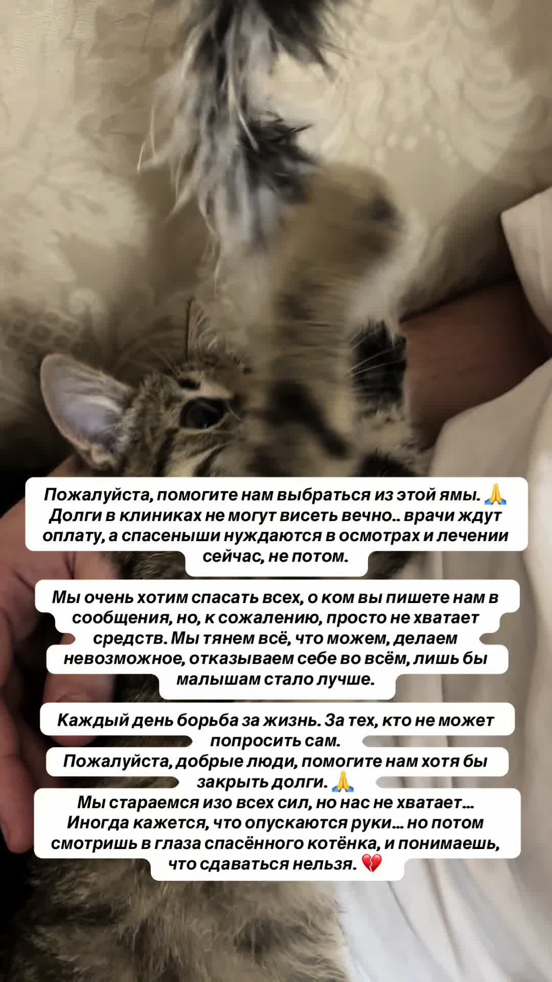 @KeepLife