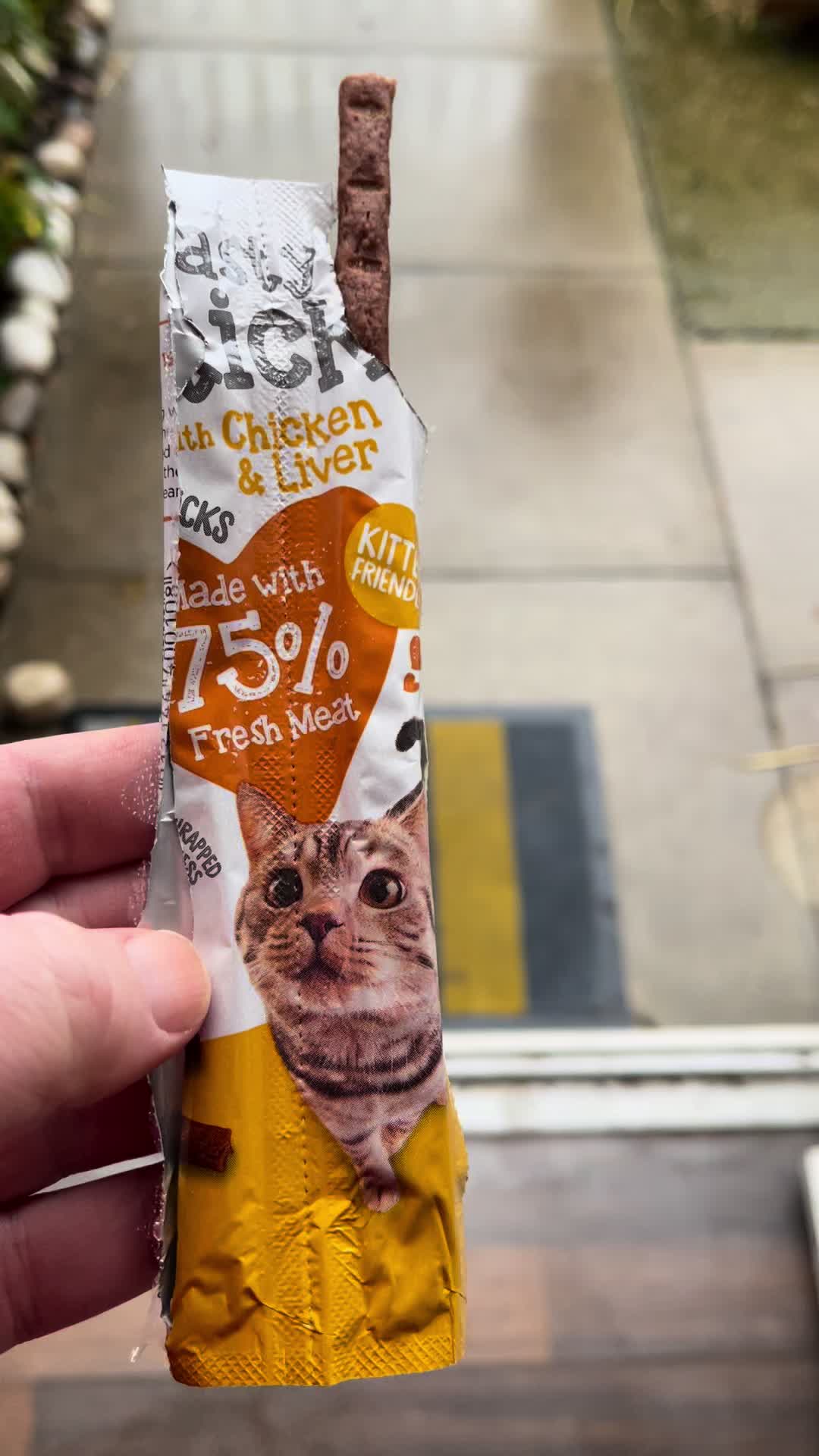 @SeanRescuesAnimals